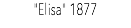 "Elisa" 1877