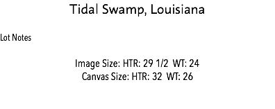 Tidal Swamp, Louisiana Lot Notes Image Size: HTR: 29 1/2 WT: 24 Canvas Size: HTR: 32 WT: 26 Estimate: $100,000 
